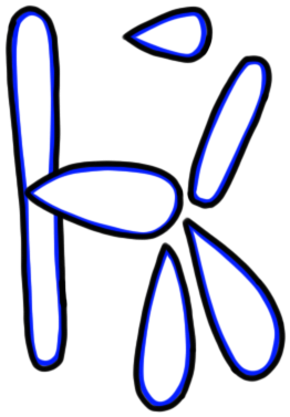 Image of the occurrence
